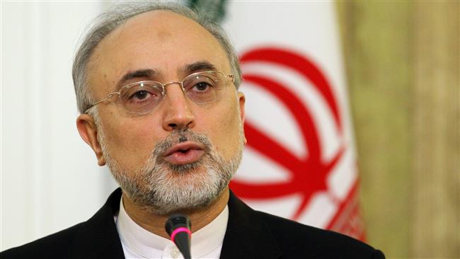 Salehi: Europe after 20 Tons of Iran Heavy Water