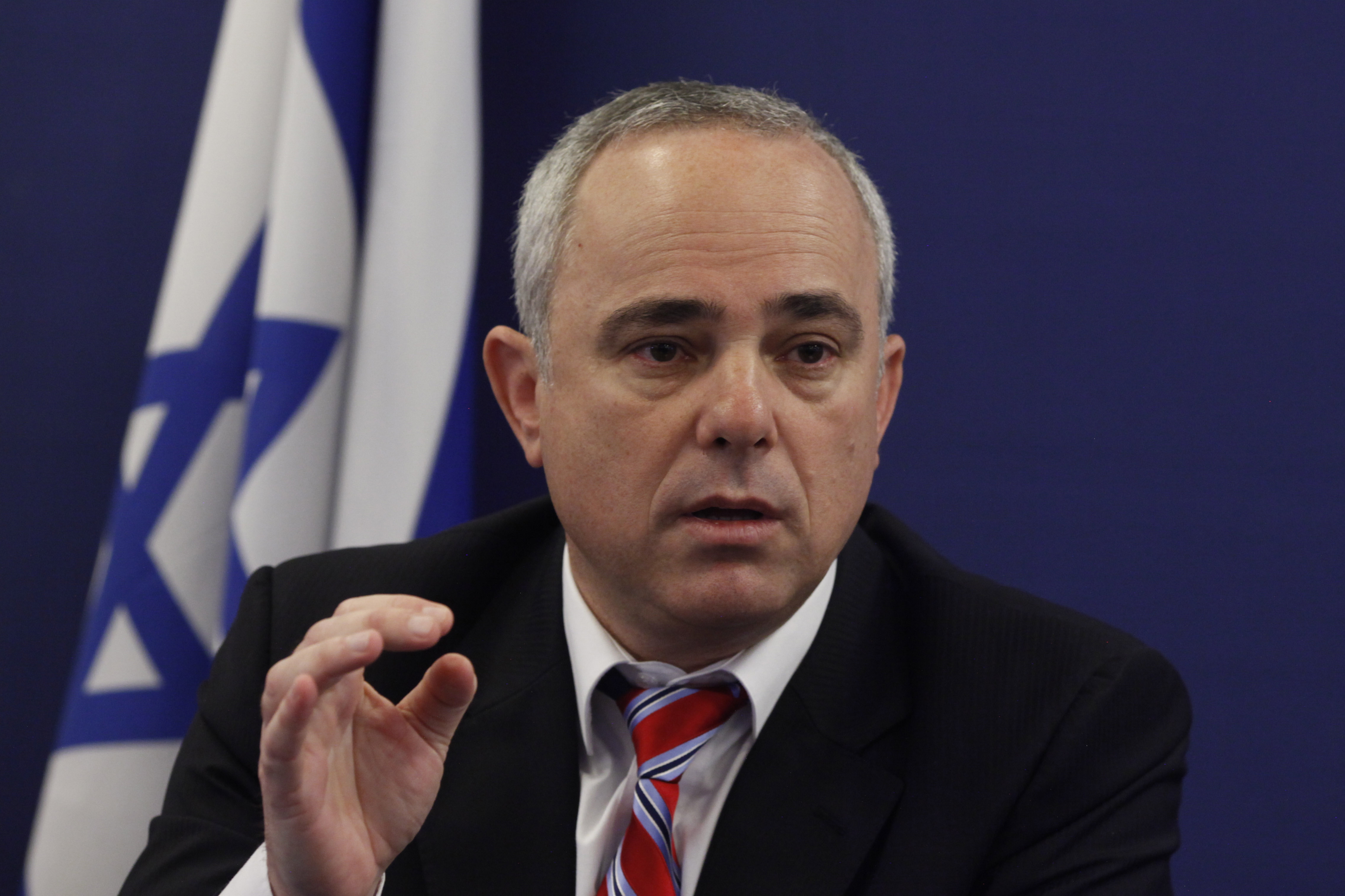 Israeli energy minister Youval Steinitz