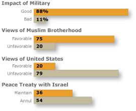 Poll: Egyptians not in Favor of Good Relation with US, Israel