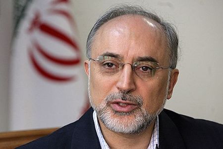 Salehi Discusses Ties with Egypt FM, Says US Must Leave Region