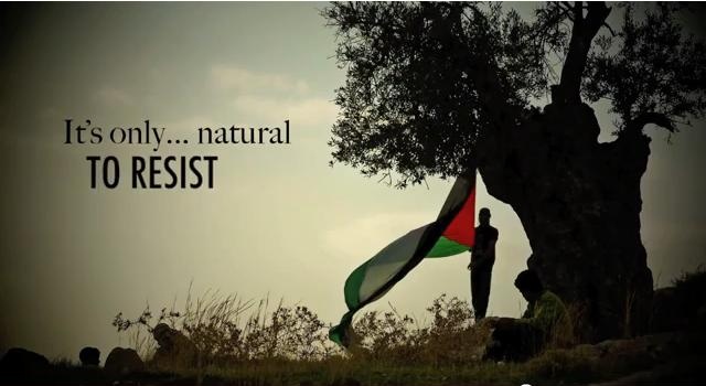 Maseerat al ’Awda, the Return to Palestine March