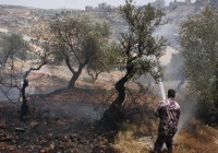 Settlers Burn Olive Trees in Bil’in