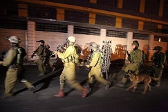 Israeli Troops Penetrate into WB, Abduct 120 Citizens

