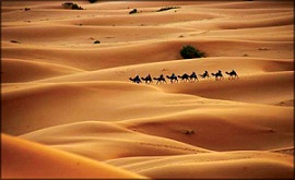 On the edge of the Sahel, Niger