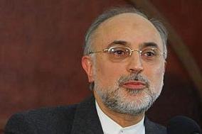 Salehi: West Has No Serious Proof of Iranian Nuclear Weapons
