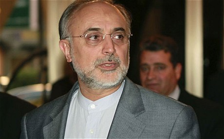 Salehi, Muallem Voice Support to Lebanese Solution
