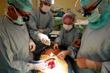 علماء بريطانيون ينجحون في صناعة أنسجة قلبية نابضة