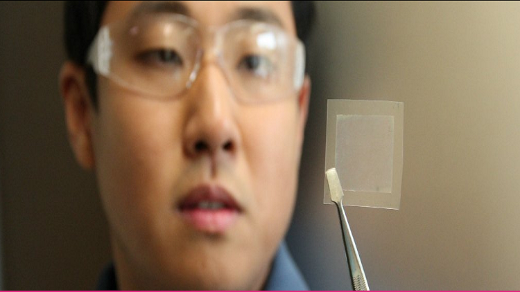 العلماء يحولون زيت الطهي إلى مادة أقوى بـ 200 مرة من الفولاذ