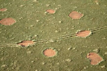 فك لغز "دوائر الجن"