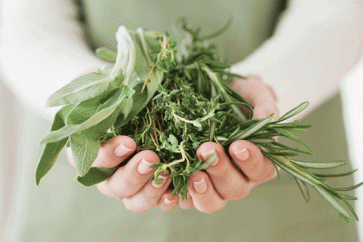 دلائل على وجود مخاطر كبيرة لتفاعل أدوية القلب مع الشاي الأخضر والزعرور البري والثوم