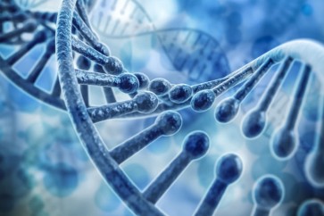 فك شيفرة الحمض النووي لجميع الكائنات الحية