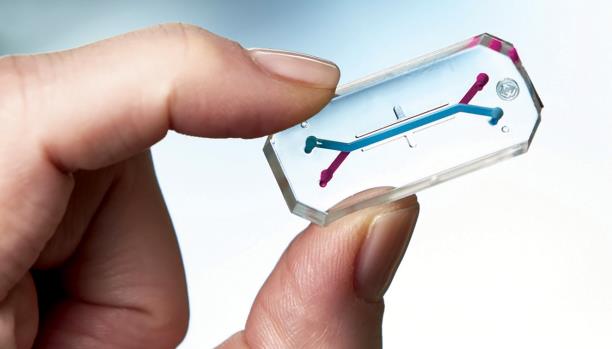 مختبرات متنقلة: أعضاء حيوية على رقاقة