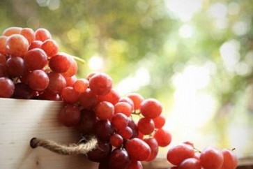 كيف تساعد بذور العنب على حماية الأسنان وتقويتها؟