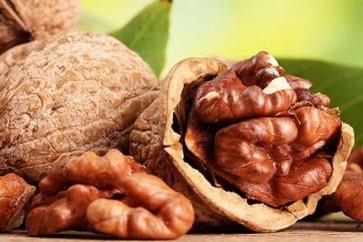 الجوز يحافظ على صحة الجهاز الهضمي