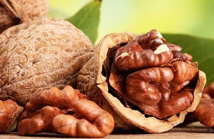 الجوز يحافظ على صحة الجهاز الهضمي