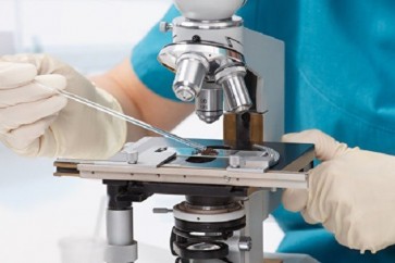 منطقة الشرق الأقصى غنية بالنباتات والأعشاب الطبية