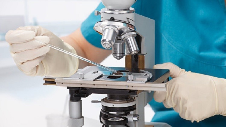 منطقة الشرق الأقصى غنية بالنباتات والأعشاب الطبية