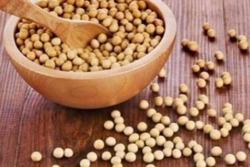 فول الصويا يخفض الكولسترول وينقص الوزن!