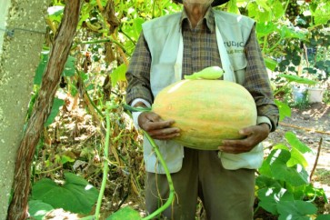 4ae6c002-49a7-423e-94a7-a97603ce565a