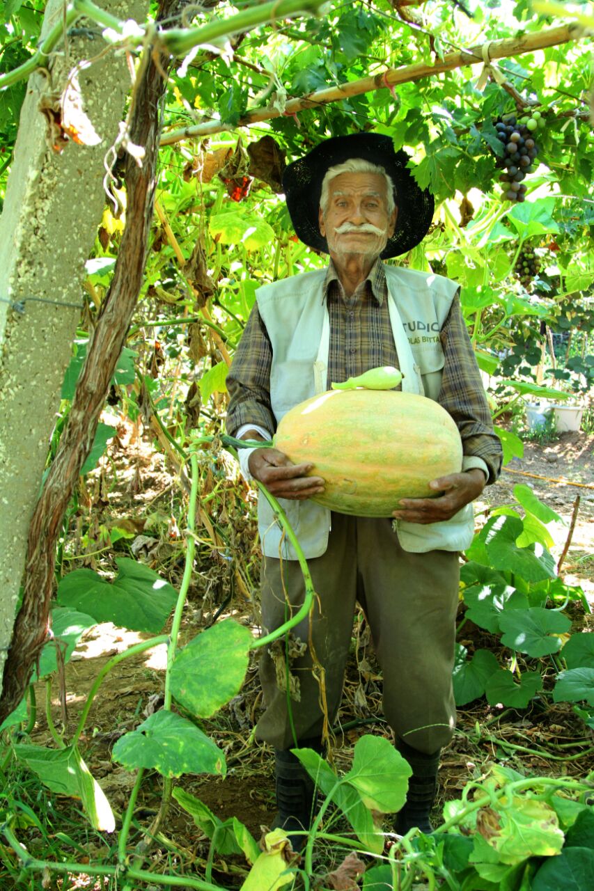 4ae6c002-49a7-423e-94a7-a97603ce565a