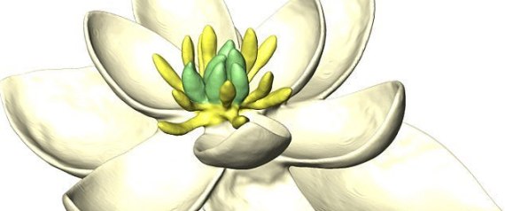 أعاد علماء تخليقها من خلال تحليل كل نباتٍ على الأرض على مدار 6 سنوات