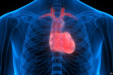 حجم الرقعة النسيجية أصغر بقليل من طابع البريد