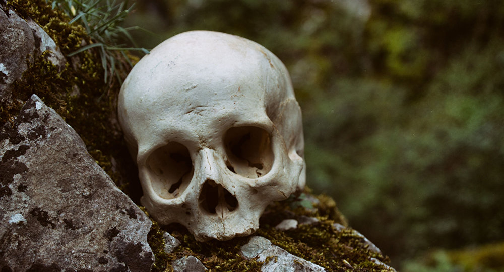 حضارة قارة أوروبا بنيت على أساس أشخاص قادمون من تركيا