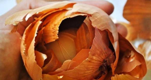 بعد قراءة هذا الخبر.. لن ترموا قشر البصل بعد اليوم!!