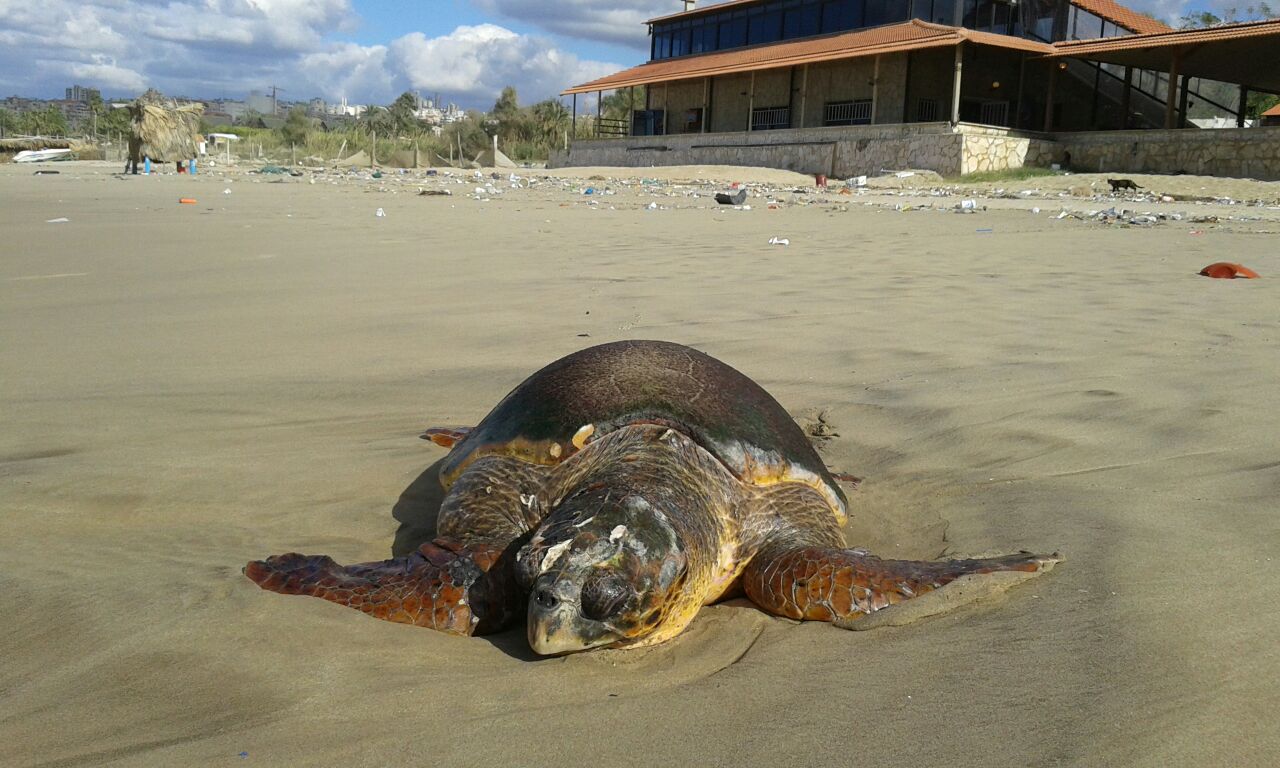 1511358022_IMG20171122WA0045