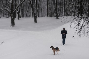 الطب يؤكد: لا تكون وحيدا في الشتاء حتى لا تموت