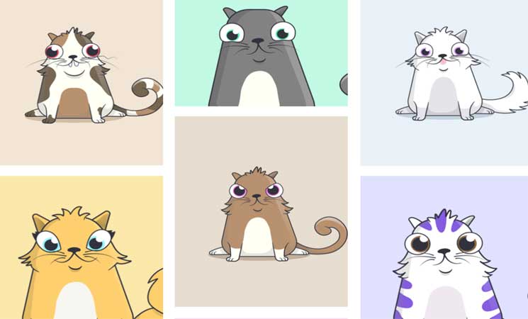 القطط الإلكترونية: عملة رقمية جديدة تجتذب آلاف المستخدمين