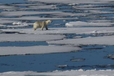 جليد المحيط المتجمد الشمالي يقترب من أدنى مستوى قياسي في الشتاء