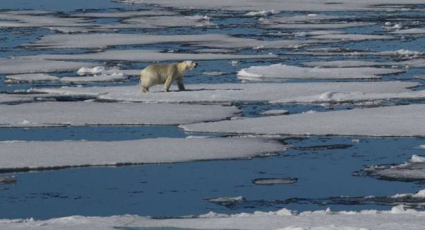 جليد المحيط المتجمد الشمالي يقترب من أدنى مستوى قياسي في الشتاء