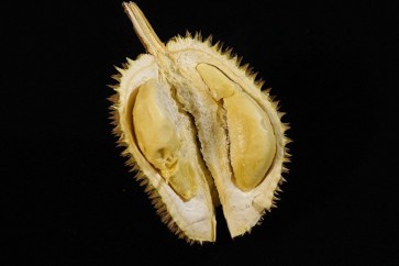 إخلاء جامعة بسبب ثمرة فاكهة