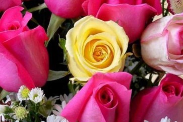 باحثون يفكّكون ألغاز الحمض النووي… للورود