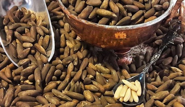 ماهي فوائد حبوب الصنوبر؟