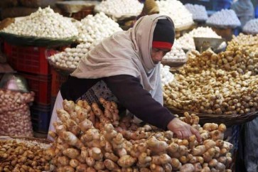 14 فائدة طبية للنبتة "السحرية"