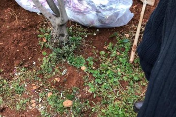 5c8d258c95b87_IMG20190316WA0032