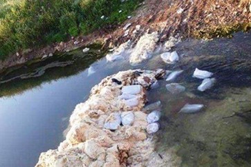نهر الاسطوان