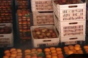 5e419a4c4c59b70fb0646f7b