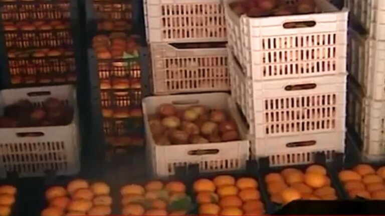 5e419a4c4c59b70fb0646f7b