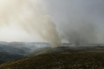 عبا