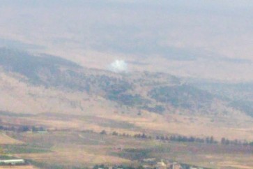 WhatsApp Image 2020-07-22 at 16.19.39