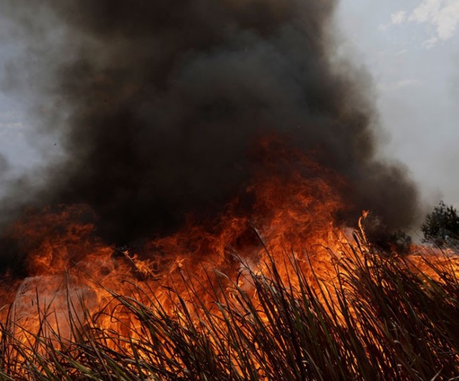 حريق فلسطيني