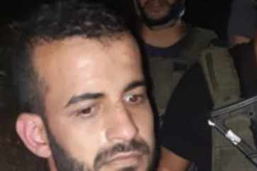 الرز