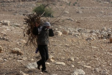 الاراضي الفلسطينية الزراعية