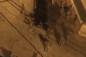 جيش