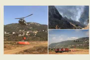 9010524739e31a964fb58ccf41e1f3f7