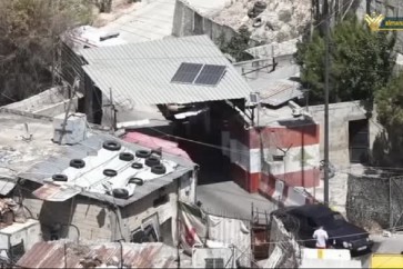 مخيم عين الحلوة