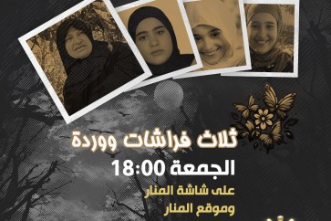 فيلم ثلاث فراشات ووردة